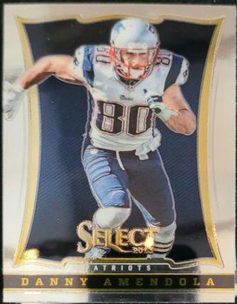 Danny Amendola #2 Football Cards 2013 Panini Select