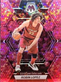 Robin Lopez
