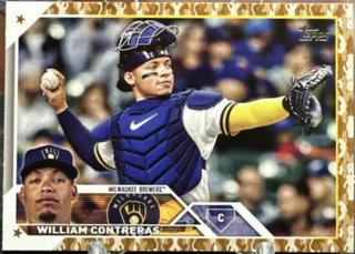 William Contreras