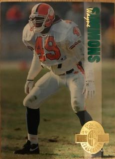 Wayne Simmons