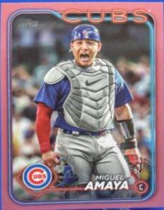 Miguel Amaya