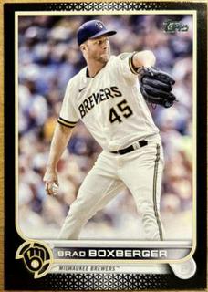 Brad Boxberger