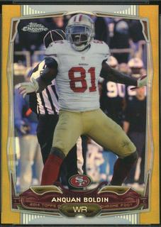 Anquan Boldin