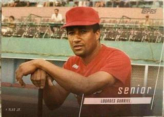 Lourdes Gurriel Sr.