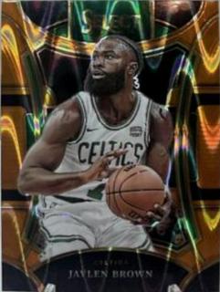 Jaylen Brown