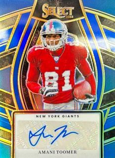 Amani Toomer