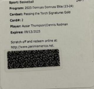 Ausar Thompson / Dennis Rodman