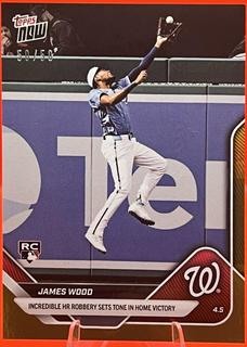 James Wood