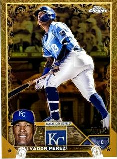 Salvador Perez