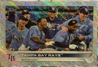 Tampa Bay Rays