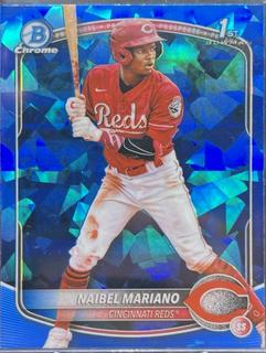 Naibel Mariano