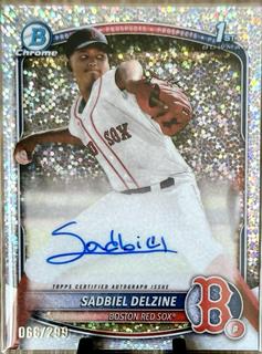 Sadbiel Delzine