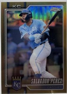 Salvador Perez