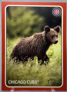Chicago Cubs