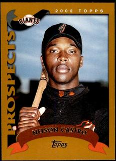 Nelson Castro