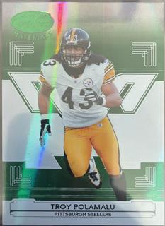 Troy Polamalu