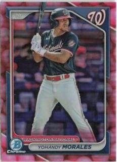 Yohandy Morales