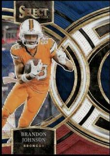 Brandon Johnson