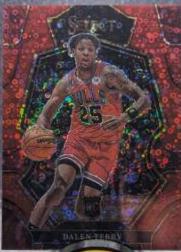 Dalen Terry