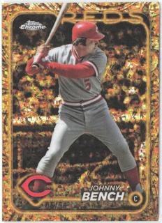 Johnny Bench