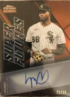 Luis Robert