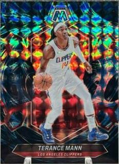 Terance Mann