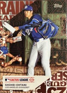 Shohei Ohtani