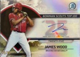 James Wood