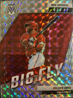 Nelson Cruz