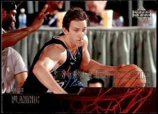 zoran planinic