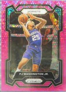 PJ Washington Jr.