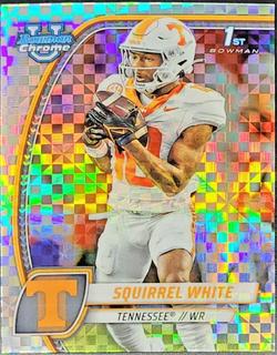 Squirrel White
