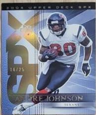 Andre Johnson