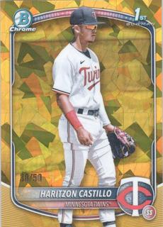 Haritzon Castillo