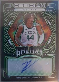 Robert Williams III