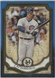 Anthony Rizzo