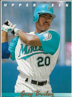 Greg  Briley