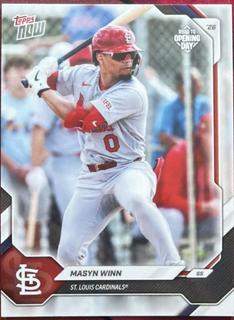 Masyn Winn