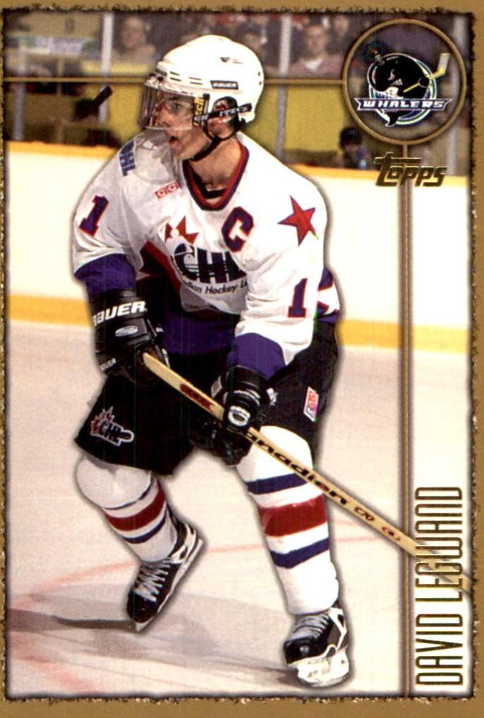 David Legwand #234