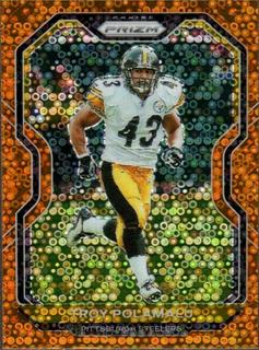 Troy Polamalu