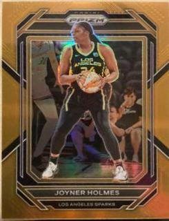 Joyner Holmes