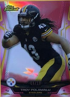 Troy Polamalu