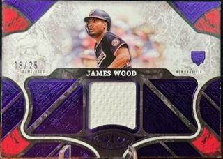 James Wood