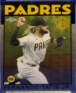 Fernando Tatis Jr.