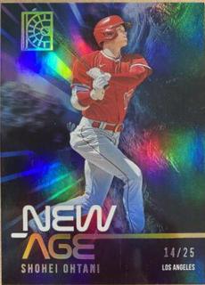Shohei Ohtani