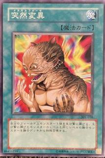 Metamorphosis 301-038