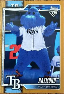 Raymond Tampa Bay Rays