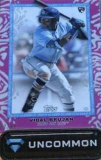 Vidal Brujan