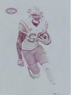 Matt Forte