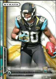 Allen Robinson